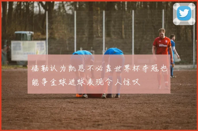 福勒认为凯恩不必靠世界杯夺冠也能争金球进球表现令人惊叹